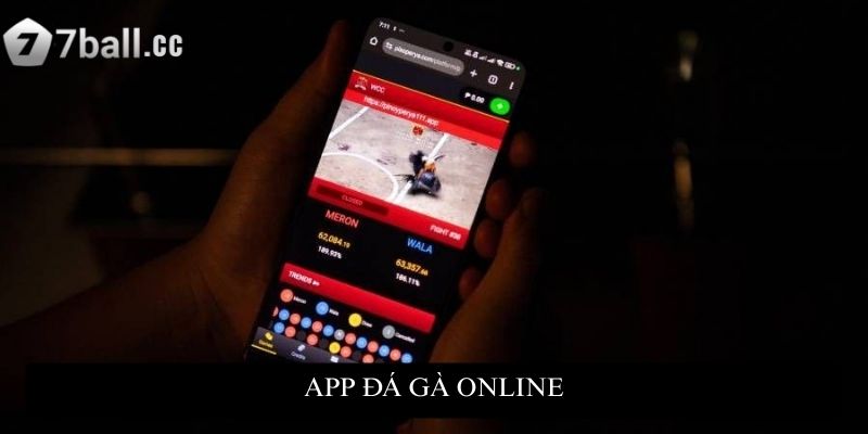 App đá gà online 77ball – Trải nghiệm dành cho người đam mê
