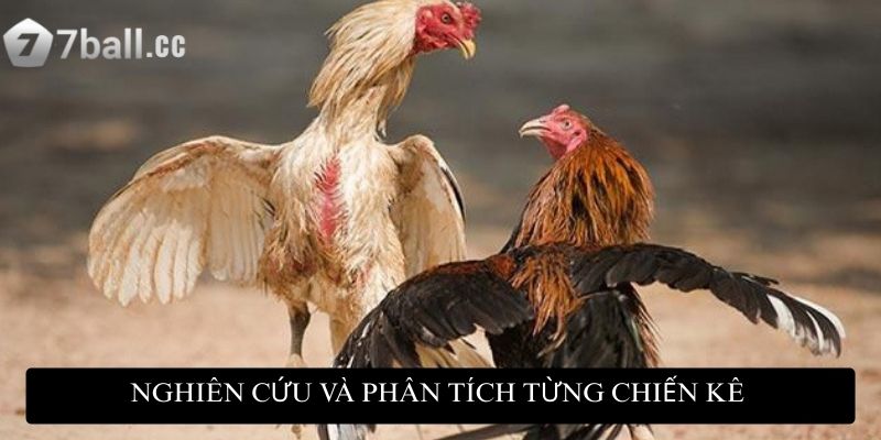Biết cách nghiên cứu và phân tích từng chiến kê giúp bạn đưa ra lựa chọn phù hợp