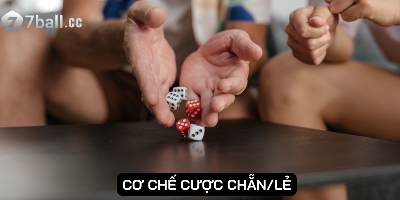 Cơ chế cược chẵn/lẻ