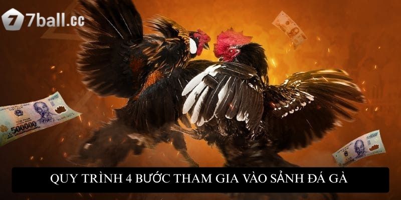 Quy trình 4 bước tham gia vào sảnh đá gà tại 77ball