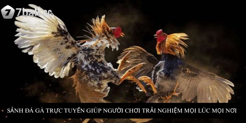 Sảnh đá gà trực tuyến giúp người chơi trải nghiệm mọi lúc mọi nơi